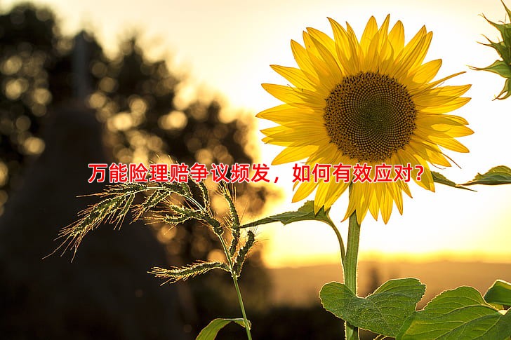 万能险理赔争议频发，如何有效应对？