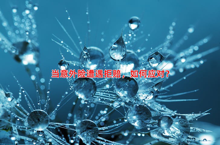 当意外险遭遇拒赔，如何应对？