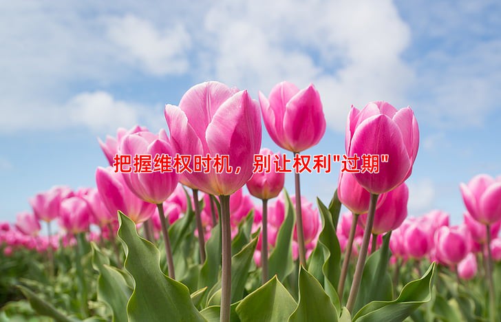 把握维权时机，别让权利"过期"