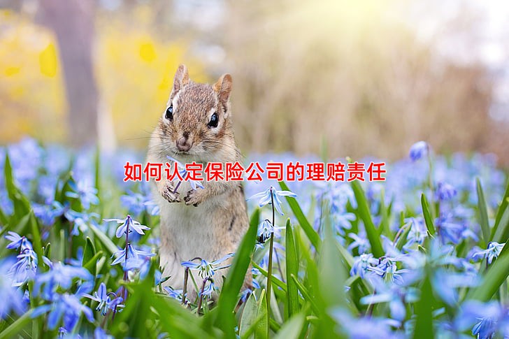 如何认定保险公司的理赔责任