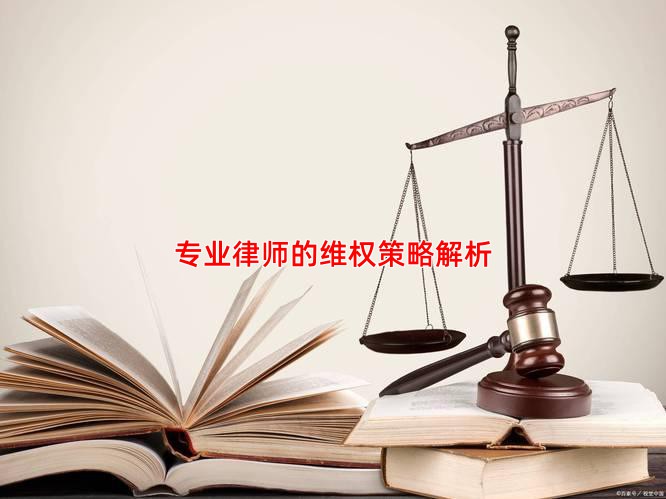 专业律师的维权策略解析
