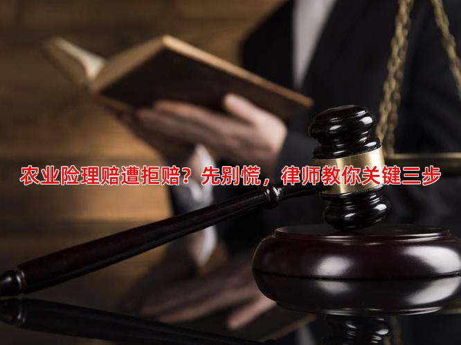 农业险理赔遭拒赔？先别慌，律师教你关键三步