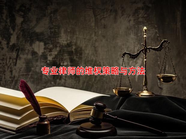 专业律师的维权策略与方法