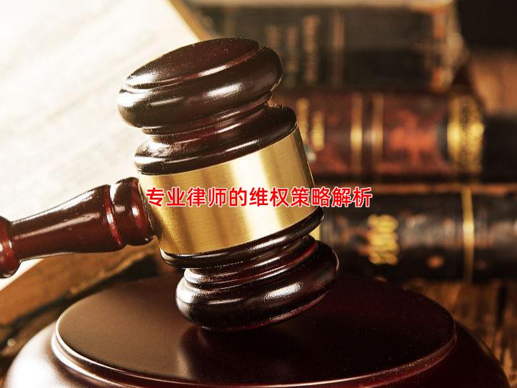 专业律师的维权策略解析