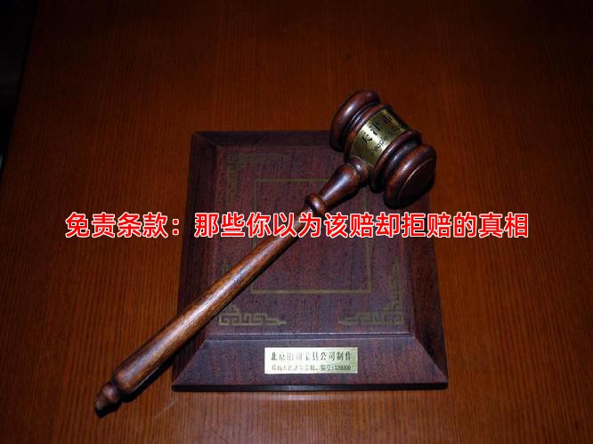 免责条款：那些你以为该赔却拒赔的真相