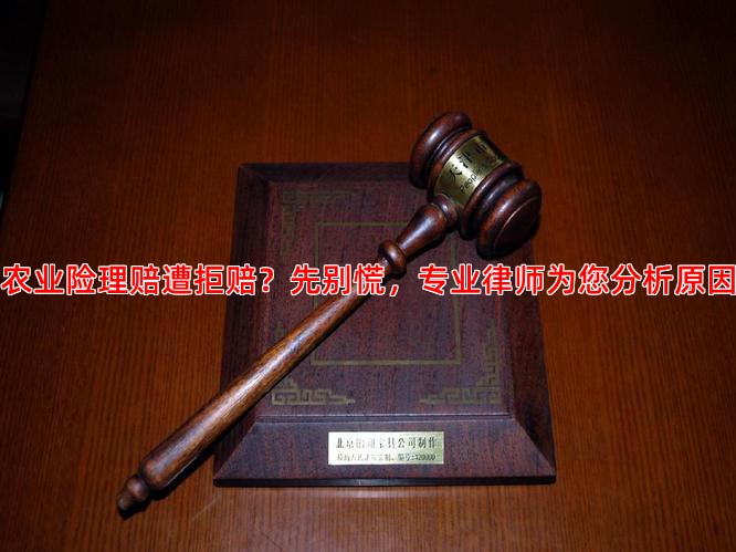 农业险理赔遭拒赔？先别慌，专业律师为您分析原因