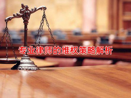 专业律师的维权策略解析
