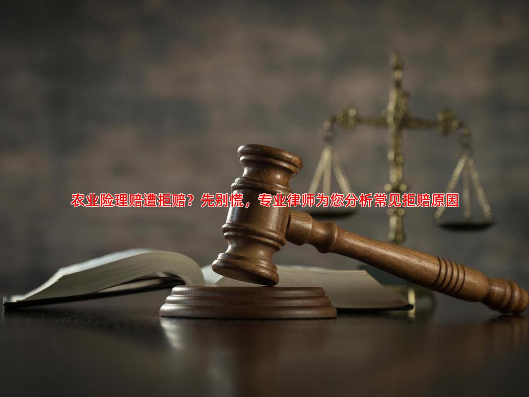 农业险理赔遭拒赔？先别慌，专业律师为您分析常见拒赔原因