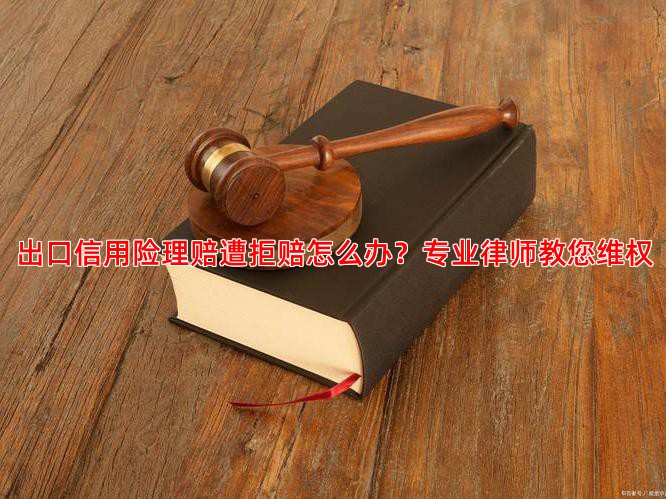 出口信用险理赔遭拒赔怎么办？专业律师教您维权