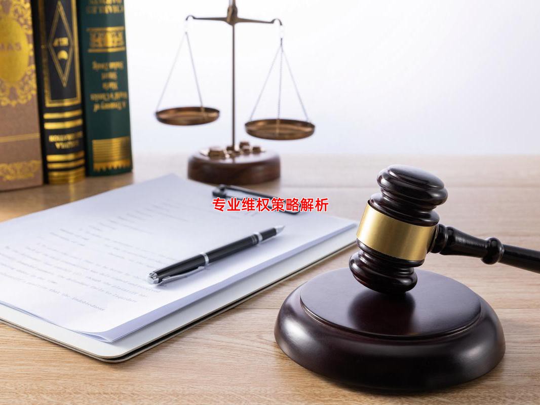 专业维权策略解析
