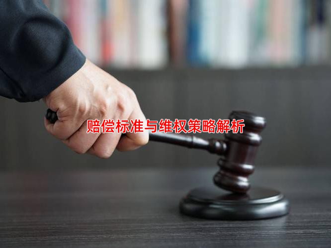 赔偿标准与维权策略解析