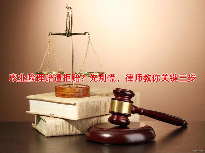 农业险理赔遭拒赔？先别慌，律师教你关键三步