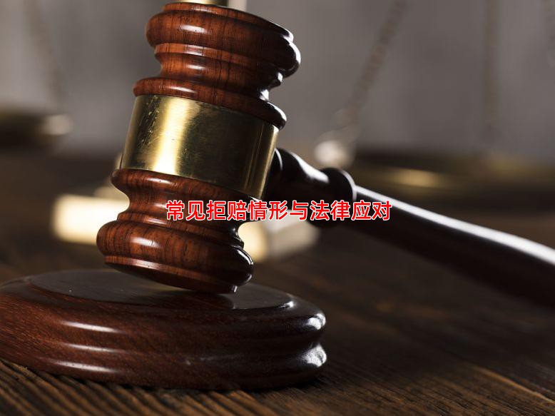 常见拒赔情形与法律应对