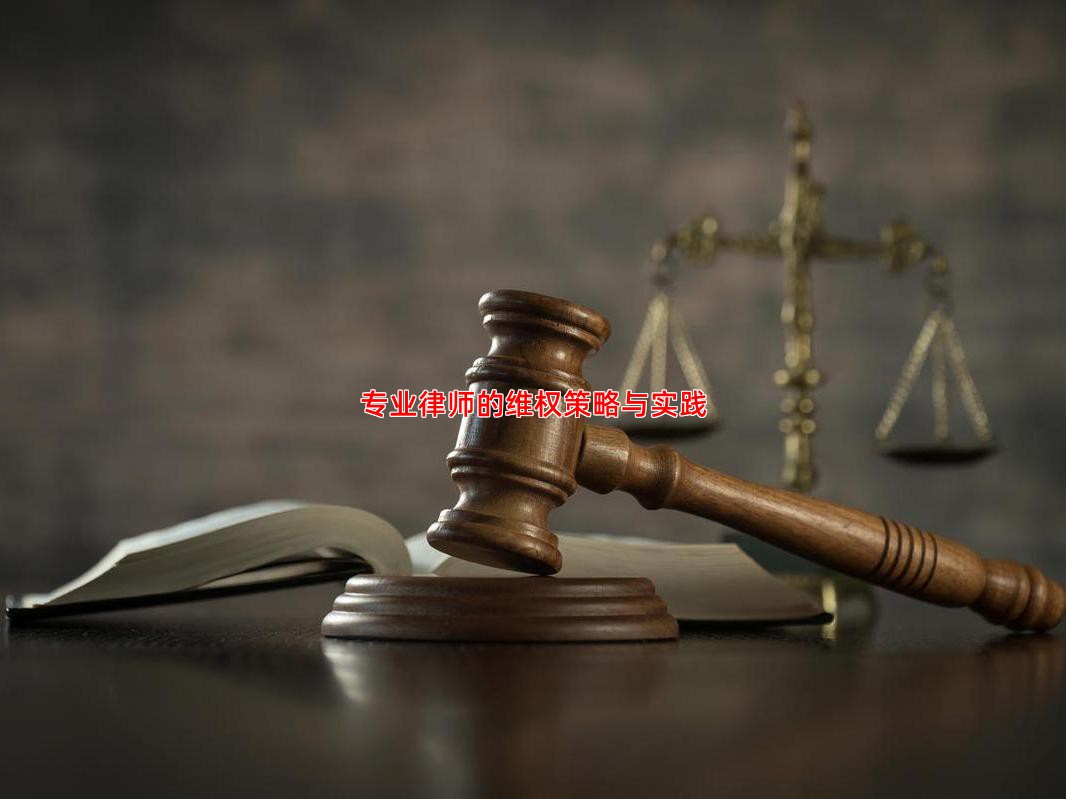 专业律师的维权策略与实践