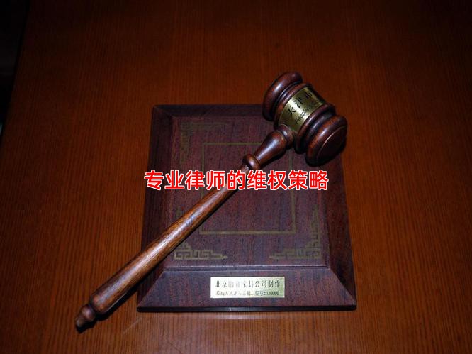 专业律师的维权策略