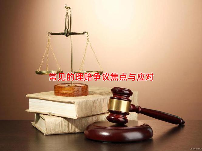 常见的理赔争议焦点与应对