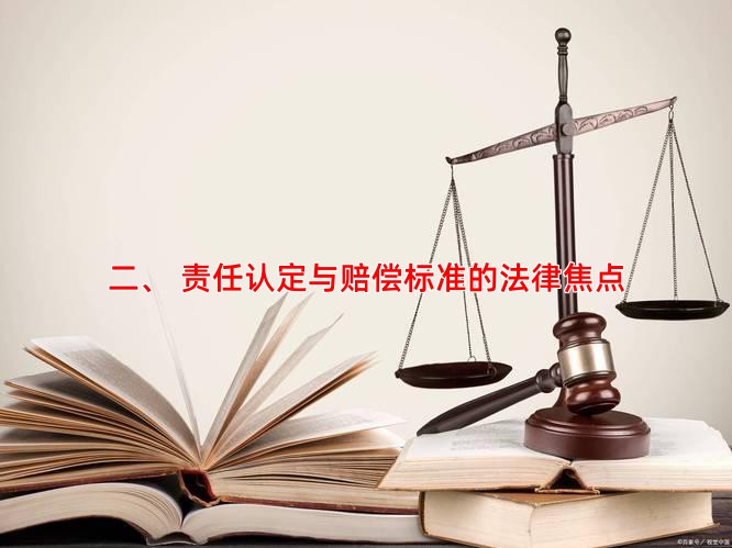 二、 责任认定与赔偿标准的法律焦点