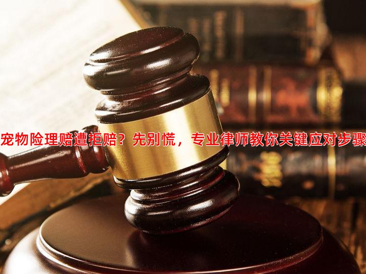 宠物险理赔遭拒赔？先别慌，专业律师教你关键应对步骤