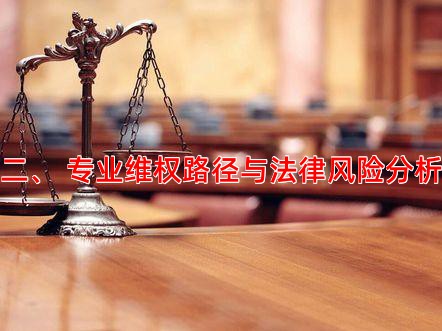 二、 专业维权路径与法律风险分析