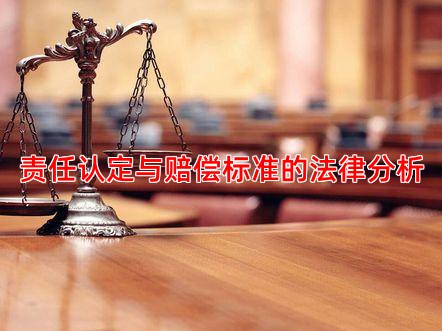 责任认定与赔偿标准的法律分析