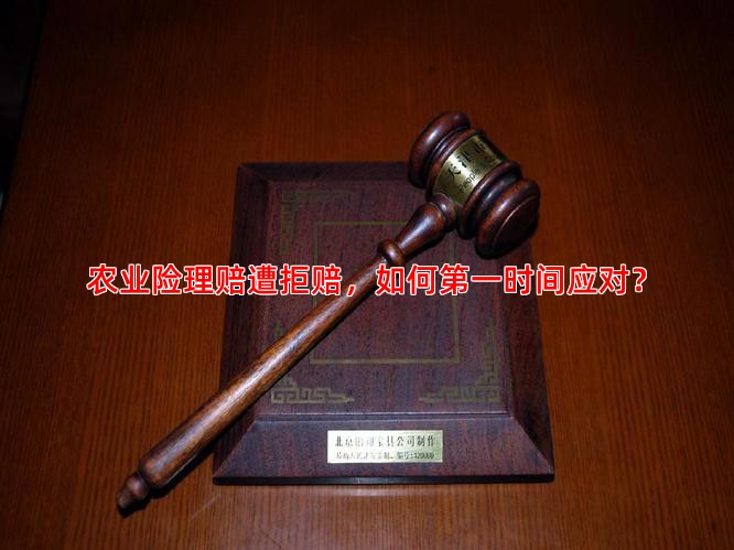 农业险理赔遭拒赔，如何时间应对？