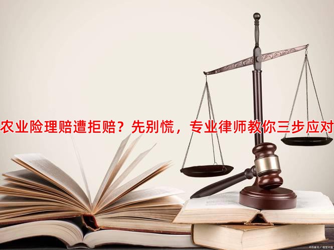 农业险理赔遭拒赔？先别慌，专业律师教你三步应对
