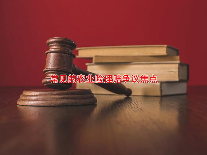 常见的农业险理赔争议焦点