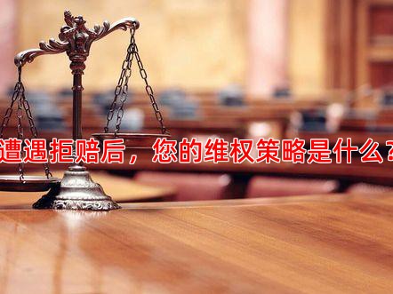 遭遇拒赔后，您的维权策略是什么？