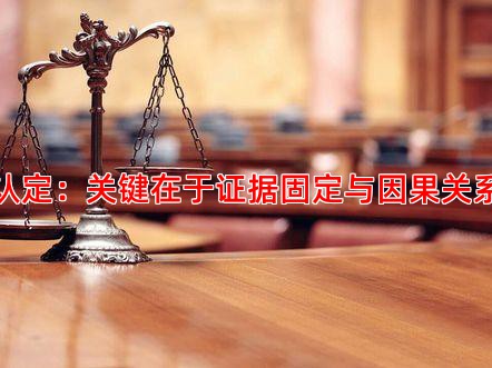 责任认定：关键在于证据固定与因果关系分析