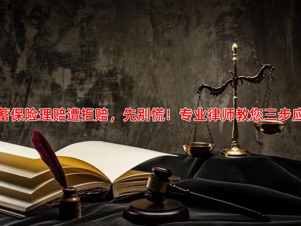 储蓄保险理赔遭拒赔，先别慌！专业律师教您三步应对