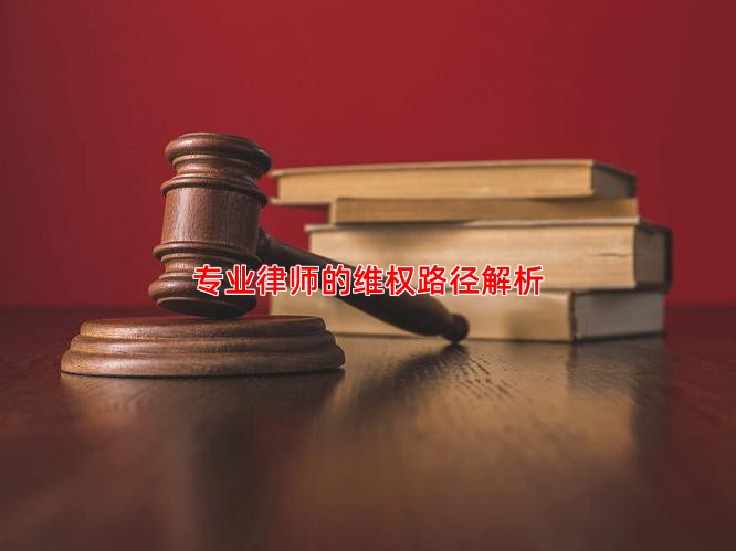 专业律师的维权路径解析