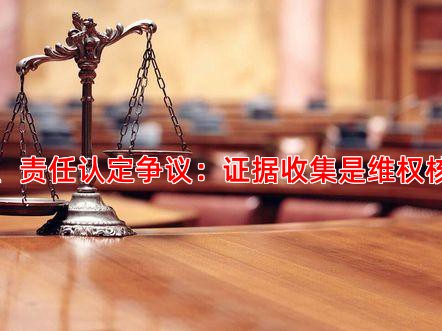 二、责任认定争议：证据收集是维权核心