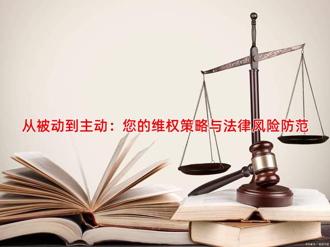 从被动到主动：您的维权策略与法律风险防范