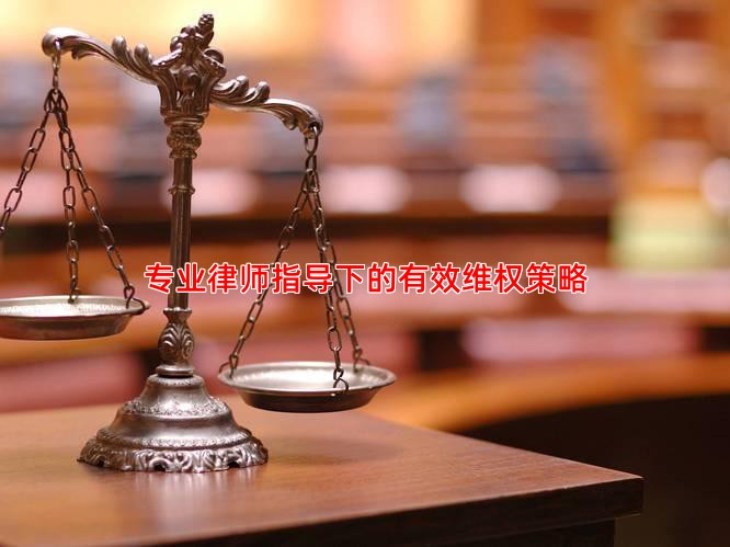 专业律师指导下的有效维权策略