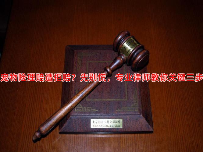 宠物险理赔遭拒赔？先别慌，专业律师教你关键三步