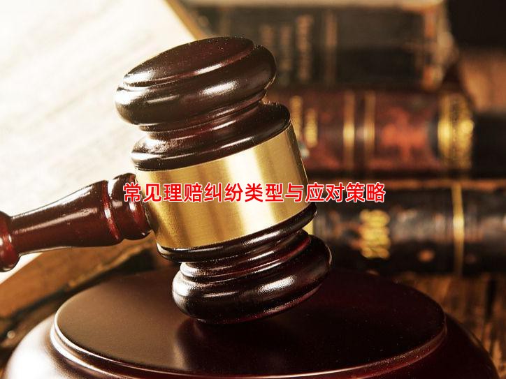 常见理赔纠纷类型与应对策略