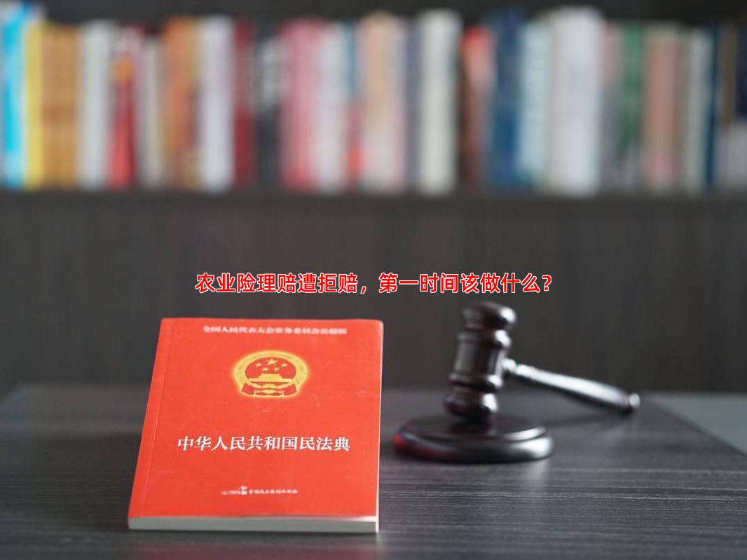 农业险理赔遭拒赔，时间该做什么？