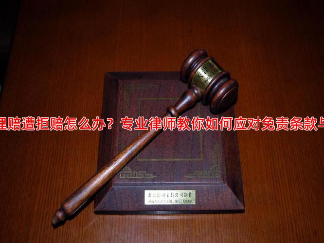 信用保险理赔遭拒赔怎么办？专业律师教你如何应对免责条款与维权策略