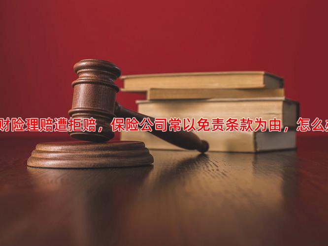 家财险理赔遭拒赔，保险公司常以免责条款为由，怎么办？