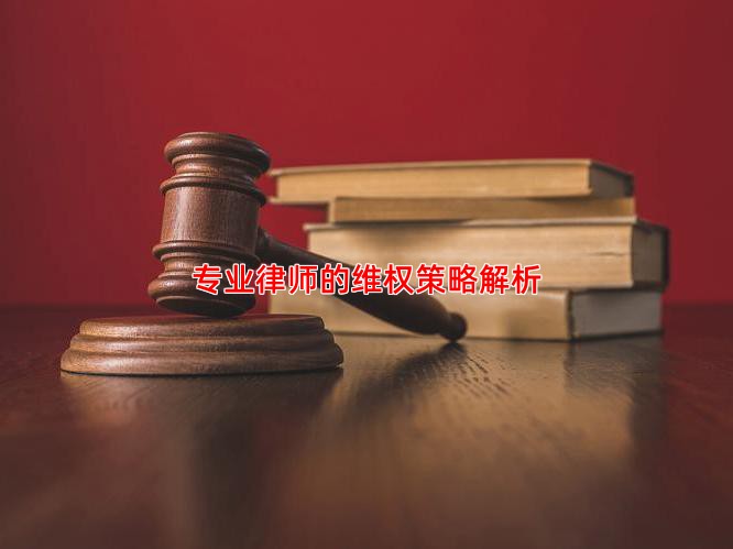 专业律师的维权策略解析