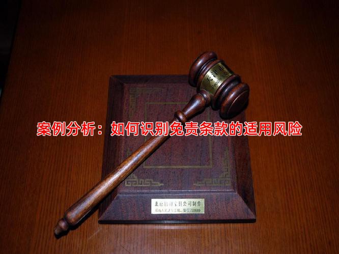 案例分析：如何识别免责条款的适用风险