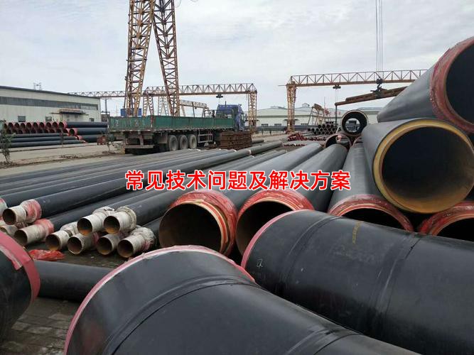 常見技術問題及解決方案