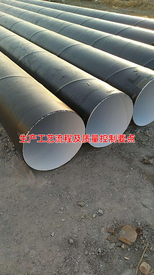 生产工艺流程及质量控制要点