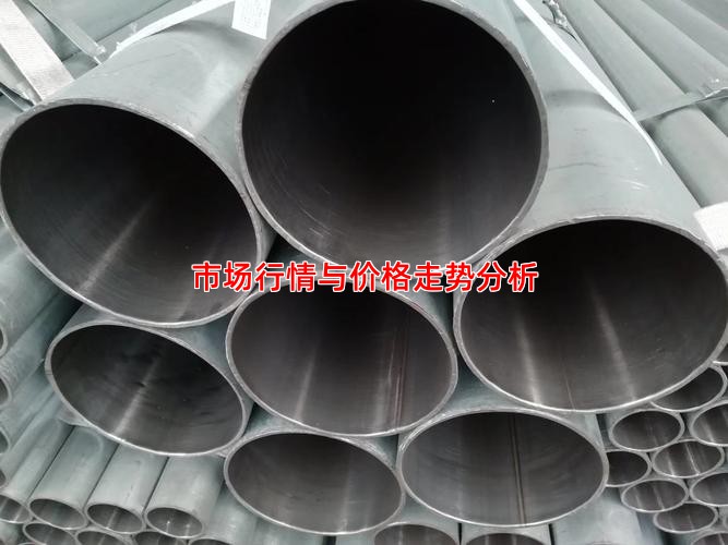 市场行情与价格走势分析