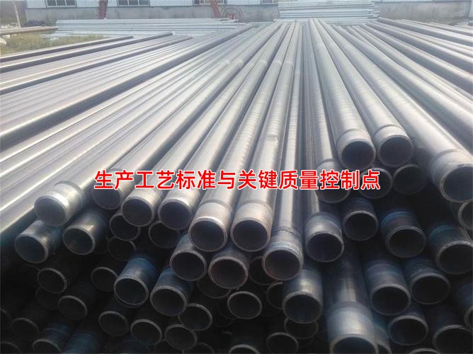 生产工艺标准与关键质量控制点