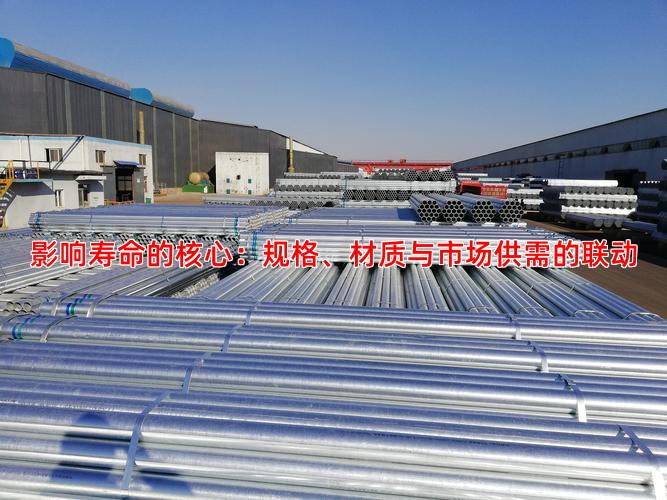 影响寿命的核心：规格、材质与市场供需的联动