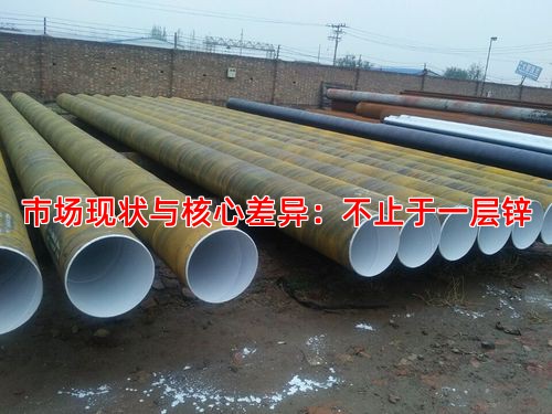 市场现状与核心差异：不止于一层锌