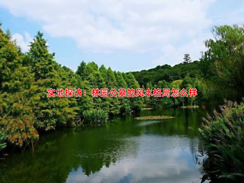 实地探访：林园公墓的风水格局怎么样