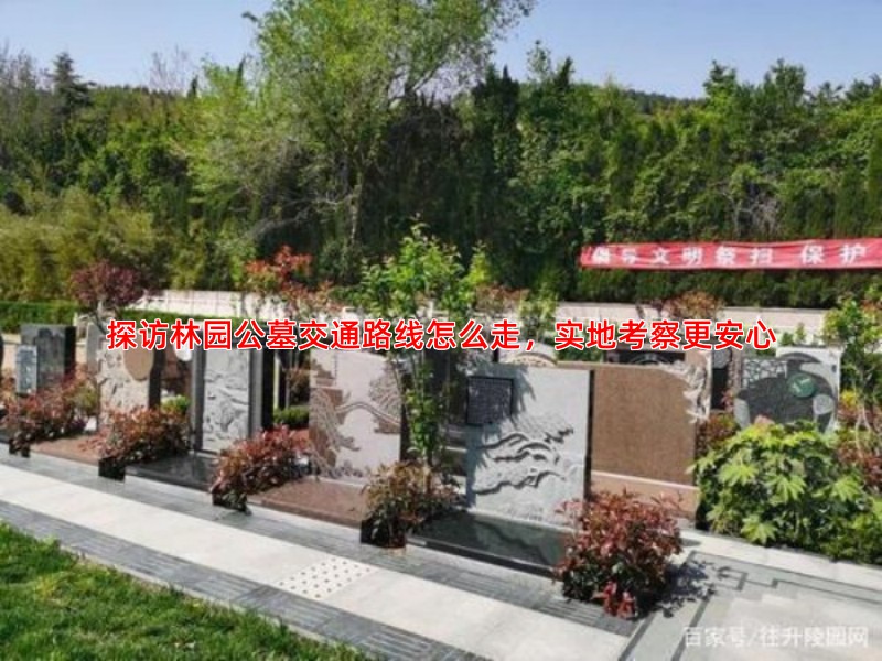 探访林园公墓交通路线怎么走，实地考察更安心