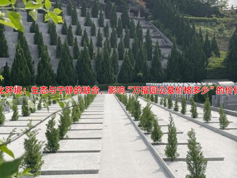园林化环境：生态与宁静的融合，影响“万福园公墓价格多少”的价值基础